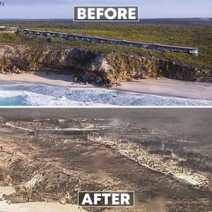 ...</p>
          </div>
                     <div class=